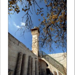 Al-Aqsa Library 1